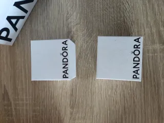 Cajas y bolsa Pandora rosa y blanca