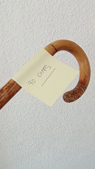 Bastón de madera noble tallado