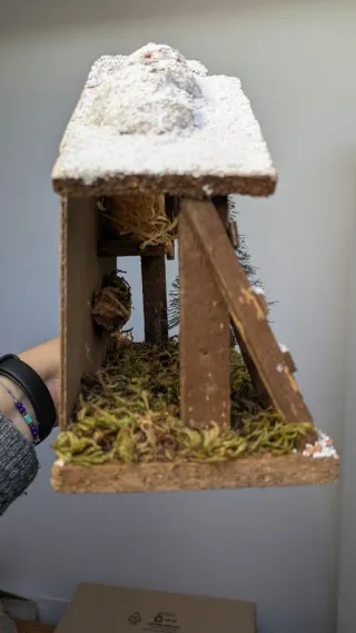 Capanna Presepe con pino