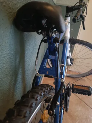 Bicicleta azul y blanca