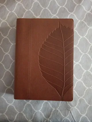 Biblia de estudio vidas transformadas.