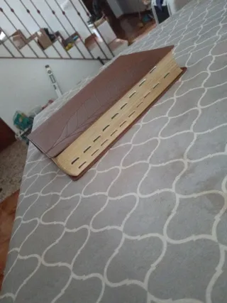 Biblia de estudio vidas transformadas.