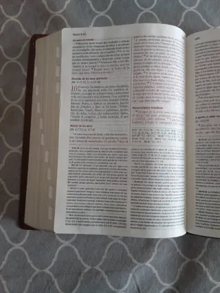 Biblia de estudio vidas transformadas.