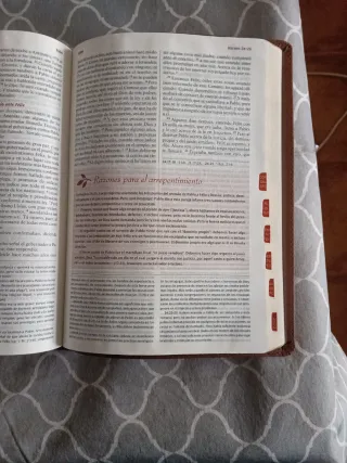 Biblia de estudio vidas transformadas.