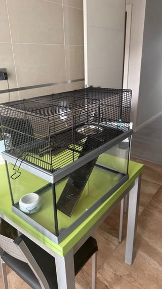 Jaula grande para reptiles/hámster
