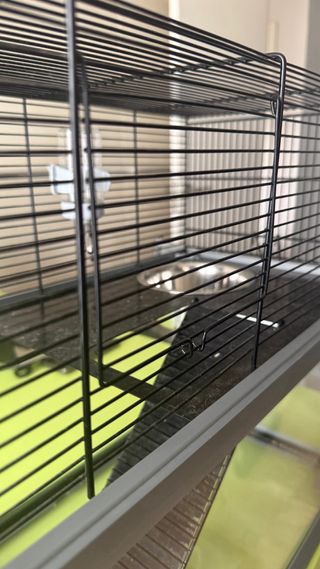 Jaula grande para reptiles/hámster