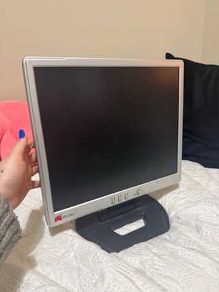 Pantalla de ordenador Ryoku