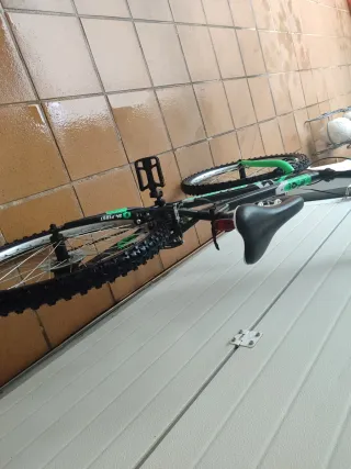 Bicicleta infantil negra y verde