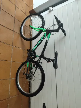 Bicicleta infantil negra y verde