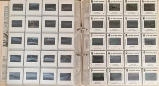 Colección Cousteau Los Secretos del Mar