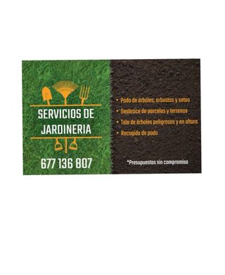 JARDINERO: PODA Y TALA DE ÁRBOLES