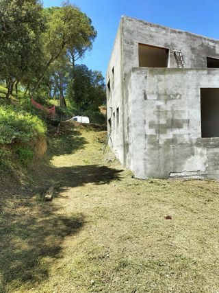 Servicio de poda y tala de arboles