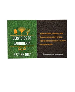 Servicio de poda y tala de arboles