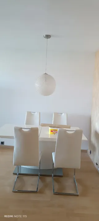 Pintor manitas.Cornella