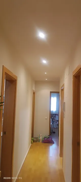 Pintor manitas.Cornella