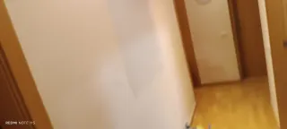 Pintor manitas.Cornella