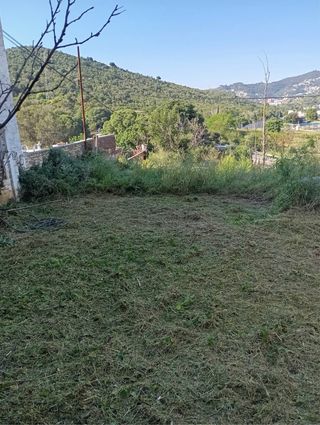 Desbroce de parcelas y terrenos