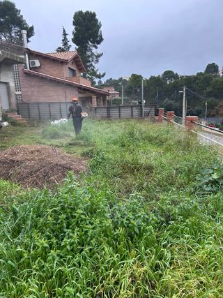 Desbroce de parcelas y terrenos