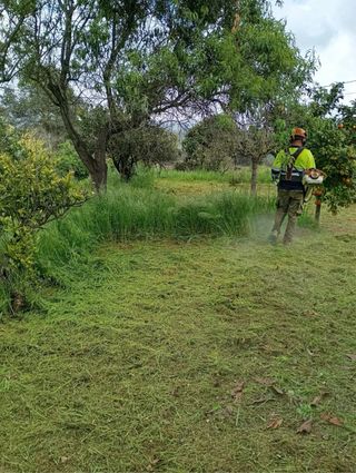 Desbroce de parcelas y terrenos