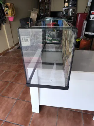 Pecera de cristal con diseño de piedra