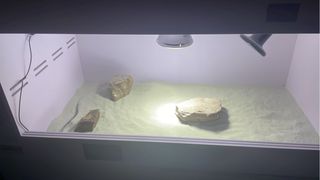 Terrario Automatizado 100x50x50