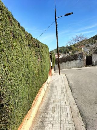 JARDINERO: SERVICIOS DE JARDINERÍA