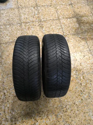 Ruedas de nieve con llanta 195 65 15