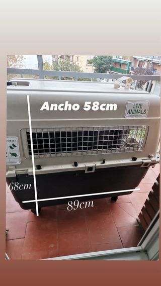 Transportín perro grande, un solo uso