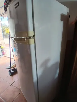 Frigorífico a gas Butsir