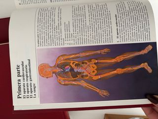 Enciclopedia de la medicina y la salud, 5 átomos.