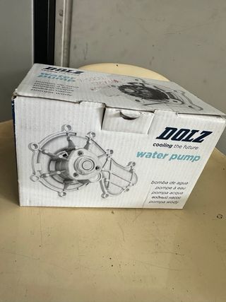 Bomba de agua DOLZ R233 con polea