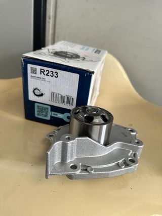 Bomba de agua DOLZ R233 con polea