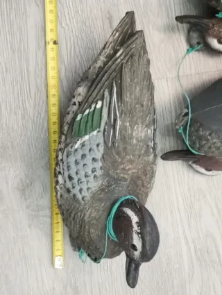 4 Esca Marzaiola Vintage Caccia