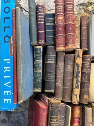 Lote 31 libri antichi