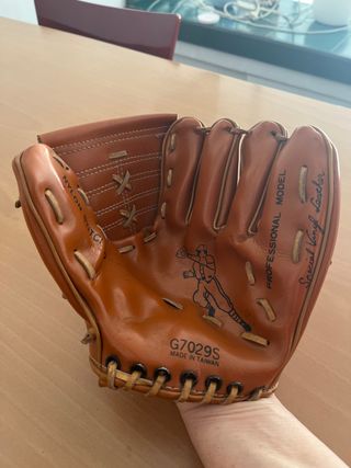 Guante de béisbol profesional