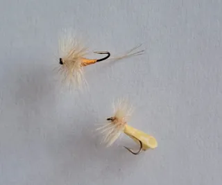 PRONTUARIO.  colección LINCE VER Contenido