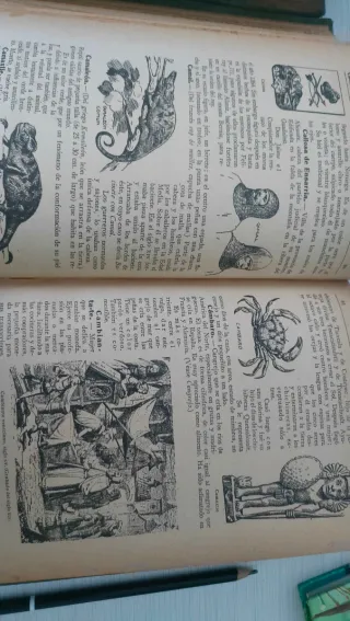 Diccionario Gráfico de Artes y Oficios Artisticos