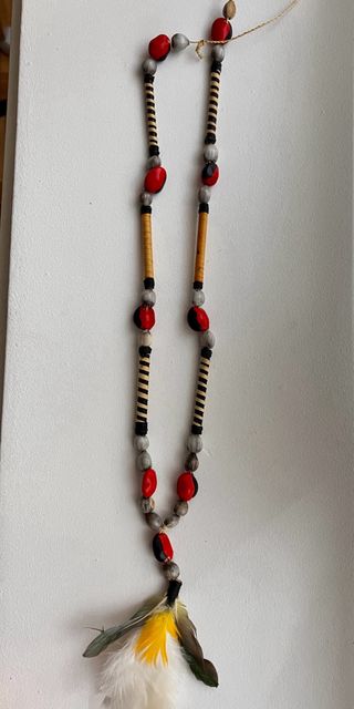 Set di 5 collane con semi e piume