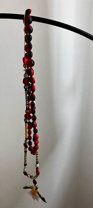 Set di 5 collane con semi e piume