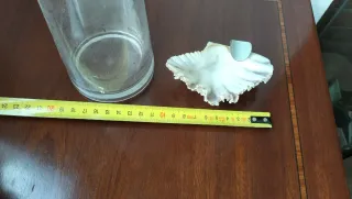 Lote Florero y Cenicero Concha