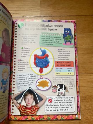 Cuerpo Humano: Las 101 Curiosidades más Llamati...