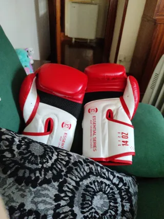 Guantes de Sparring AQF Essential Series 14 oz