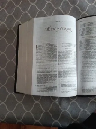 Biblia de estudio Patrística.