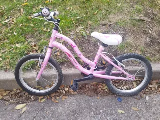 Bicicleta Niña Rosa Mariposas