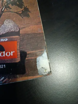 Pack 2 Vinilos Cat Mother