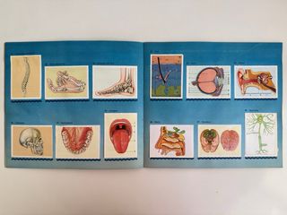 Álbum de Cromos Nuestro Planeta Azul