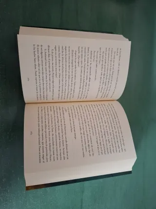 Sueños de piedra (Literatura Mágica) (Spanish E...