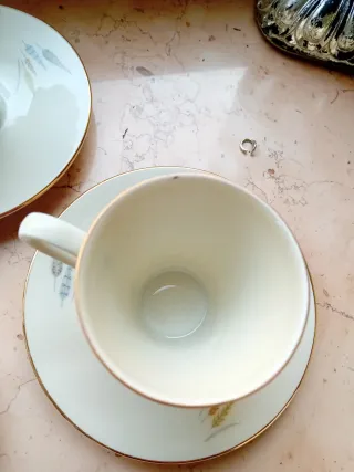 Tazzine caffè Bavaria set 5 tazzine 6 piattini