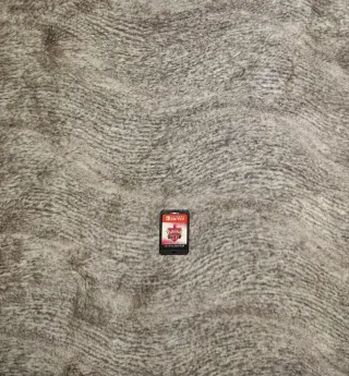 Pokemon Escudo Nintendo Switch