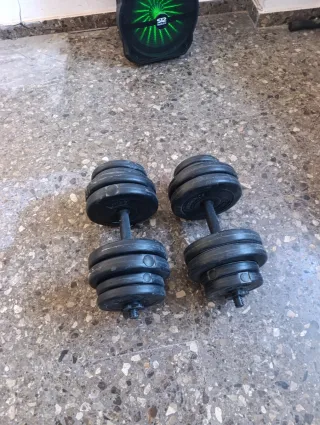 Barrette per palestra a casa e dischi